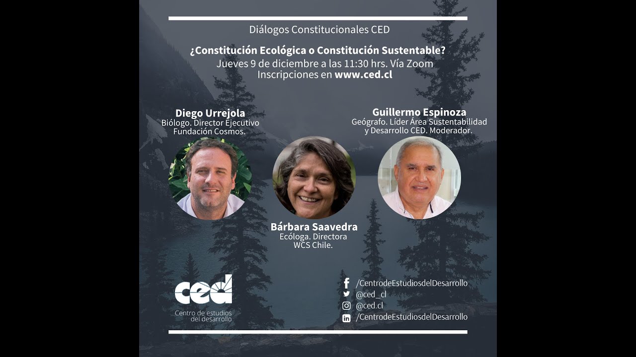 Seminario Web «¿Constitución Ecológica o Constitución Sustentable?»